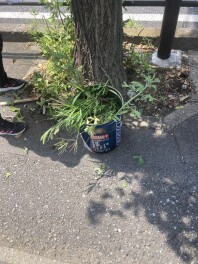 拠点周り清掃を行いました！